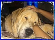 Превью фото № 200641