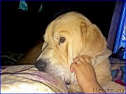 Превью фото № 200643