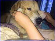 Превью фото № 200644