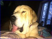 Превью фото № 200649