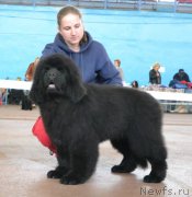 Превью фото № 200666