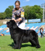 Превью фото № 200684