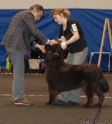 Превью фото № 200702