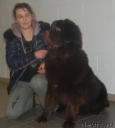 Превью фото № 200703