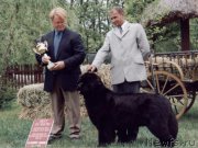 Превью фото № 200723