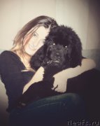 Превью фото № 200736