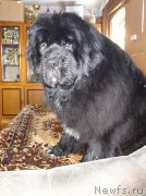 Превью фото № 200737