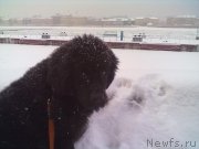 Превью фото № 200749