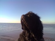 Превью фото № 200753