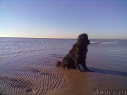 Превью фото № 200754