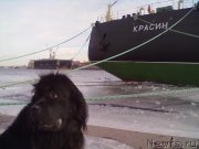 Превью фото № 200760