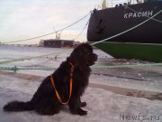 Превью фото № 200761