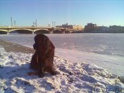 Превью фото № 200762