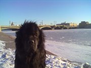 Превью фото № 200763