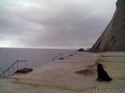 Превью фото № 200769