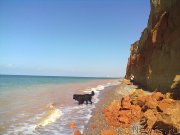 Превью фото № 200775