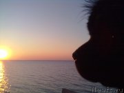 Превью фото № 200777