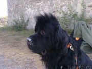 Превью фото № 200780