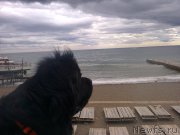 Превью фото № 200782