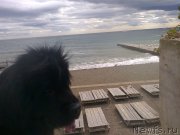 Превью фото № 200783