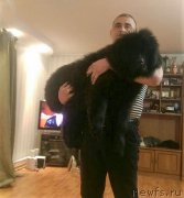 Превью фото № 200795