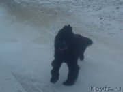 Превью фото № 200799