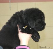 Превью фото № 200808