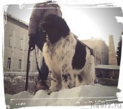 Превью фото № 200825