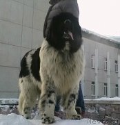 Превью фото № 200827