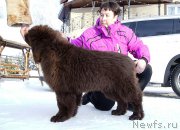 Превью фото № 200895