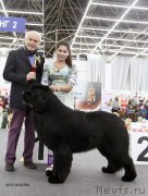 Превью фото № 200992