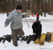 Превью фото № 201011