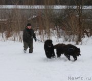 Превью фото № 201013