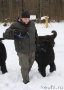 Превью фото № 201014