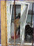 Превью фото № 201048