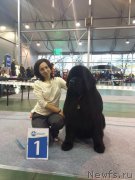 Превью фото № 201058