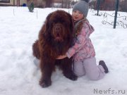 Превью фото № 201066