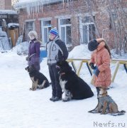 Превью фото № 201093