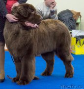 Превью фото № 201100