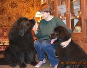 Превью фото № 201123