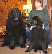 Превью фото № 201124