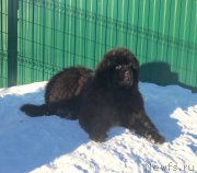 Превью фото № 201185