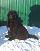 Превью фото № 201186