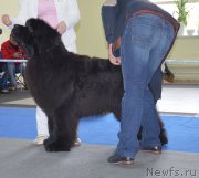 Превью фото № 201198