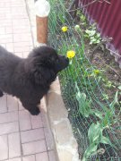 Превью фото № 201205