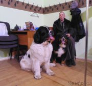 Превью фото № 201208