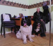 Превью фото № 201209