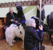 Превью фото № 201210