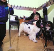 Превью фото № 201212