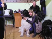 Превью фото № 201213